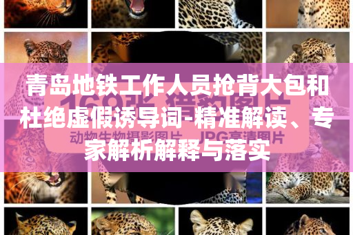 青島地鐵工作人員搶背大包和杜絕虛假誘導(dǎo)詞-精準解讀、專家解析解釋與落實