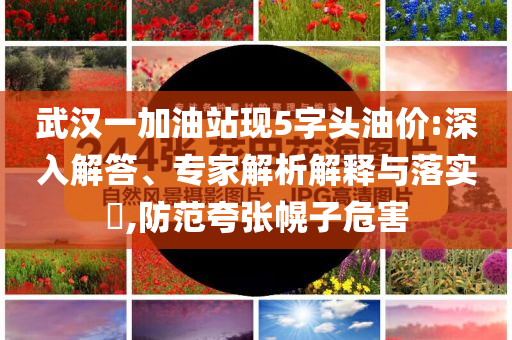武漢一加油站現(xiàn)5字頭油價(jià):深入解答、專家解析解釋與落實(shí)?,防范夸張幌子危害