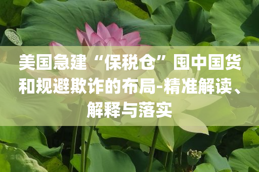 美國急建“保稅倉”囤中國貨和規(guī)避欺詐的布局-精準(zhǔn)解讀、解釋與落實(shí)