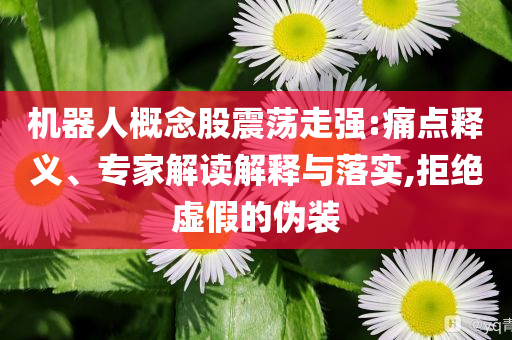 機(jī)器人概念股震蕩走強(qiáng):痛點(diǎn)釋義、專家解讀解釋與落實(shí),拒絕虛假的偽裝