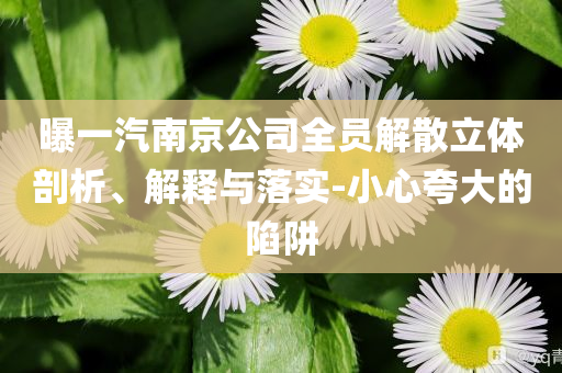 曝一汽南京公司全員解散立體剖析、解釋與落實(shí)-小心夸大的陷阱