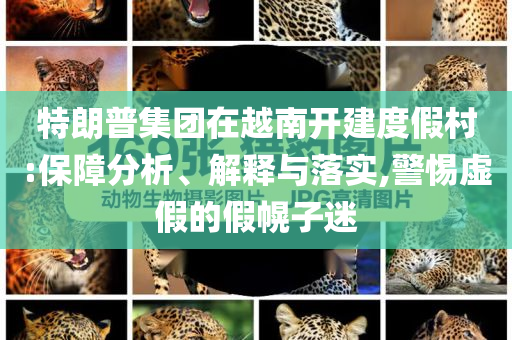 特朗普集團(tuán)在越南開建度假村:保障分析、解釋與落實(shí),警惕虛假的假幌子迷