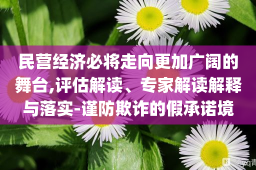 民營經(jīng)濟(jì)必將走向更加廣闊的舞臺(tái),評(píng)估解讀、專家解讀解釋與落實(shí)-謹(jǐn)防欺詐的假承諾境