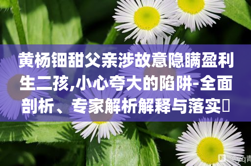 黃楊鈿甜父親涉故意隱瞞盈利生二孩,小心夸大的陷阱-全面剖析、專家解析解釋與落實?