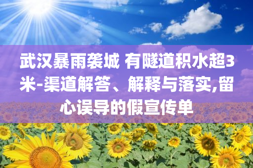 武漢暴雨襲城 有隧道積水超3米-渠道解答、解釋與落實,留心誤導(dǎo)的假宣傳單