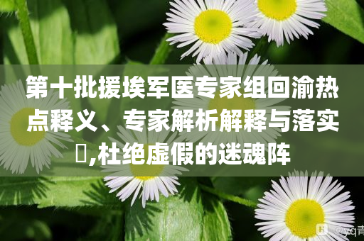 第十批援埃軍醫(yī)專(zhuān)家組回渝熱點(diǎn)釋義、專(zhuān)家解析解釋與落實(shí)?,杜絕虛假的迷魂陣
