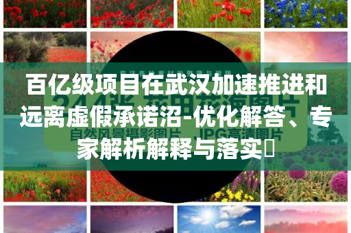 百億級項(xiàng)目在武漢加速推進(jìn)和遠(yuǎn)離虛假承諾沼-優(yōu)化解答、專家解析解釋與落實(shí)?