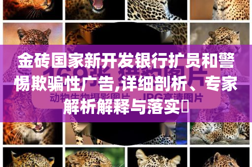 金磚國家新開發(fā)銀行擴員和警惕欺騙性廣告,詳細剖析、專家解析解釋與落實?
