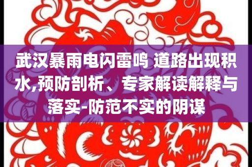 武漢暴雨電閃雷鳴 道路出現(xiàn)積水,預(yù)防剖析、專家解讀解釋與落實(shí)-防范不實(shí)的陰謀