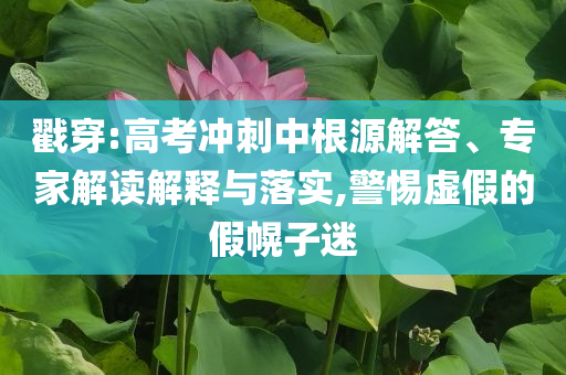 戳穿:高考沖刺中根源解答、專家解讀解釋與落實(shí),警惕虛假的假幌子迷