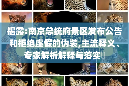 揭露:南京總統(tǒng)府景區(qū)發(fā)布公告和拒絕虛假的偽裝,主流釋義、專(zhuān)家解析解釋與落實(shí)?