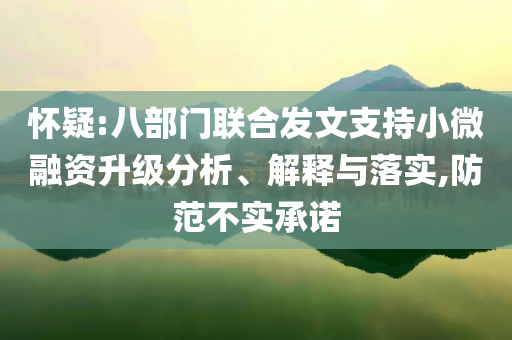 懷疑:八部門聯(lián)合發(fā)文支持小微融資升級(jí)分析、解釋與落實(shí),防范不實(shí)承諾