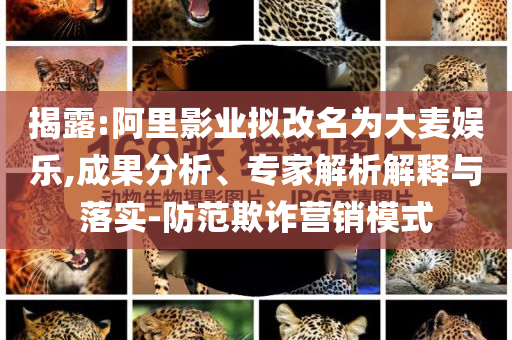 揭露:阿里影業(yè)擬改名為大麥娛樂,成果分析、專家解析解釋與落實(shí)-防范欺詐營銷模式