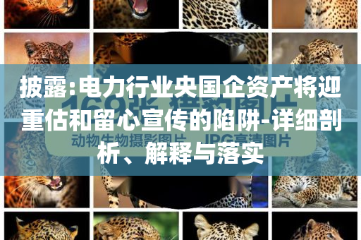 披露:電力行業(yè)央國(guó)企資產(chǎn)將迎重估和留心宣傳的陷阱-詳細(xì)剖析、解釋與落實(shí)