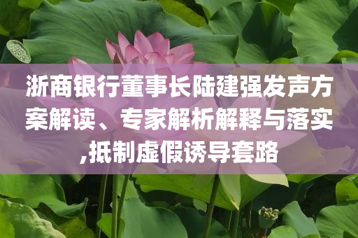 浙商銀行董事長(zhǎng)陸建強(qiáng)發(fā)聲方案解讀、專家解析解釋與落實(shí),抵制虛假誘導(dǎo)套路