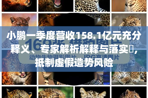小鵬一季度營收158.1億元充分釋義、專家解析解釋與落實?,抵制虛假造勢風險