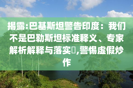 揭露:巴基斯坦警告印度：我們不是巴勒斯坦標(biāo)準(zhǔn)釋義、專家解析解釋與落實(shí)?,警惕虛假炒作