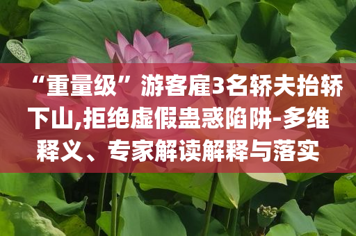 “重量級(jí)”游客雇3名轎夫抬轎下山,拒絕虛假蠱惑陷阱-多維釋義、專家解讀解釋與落實(shí)