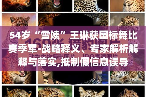 54歲“雪姨”王琳獲國(guó)標(biāo)舞比賽季軍-戰(zhàn)略釋義、專家解析解釋與落實(shí),抵制假信息誤導(dǎo)