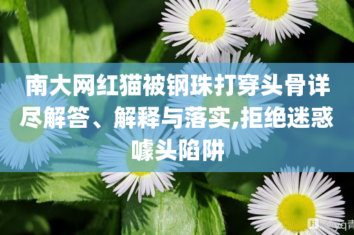 南大網(wǎng)紅貓被鋼珠打穿頭骨詳盡解答、解釋與落實,拒絕迷惑噱頭陷阱