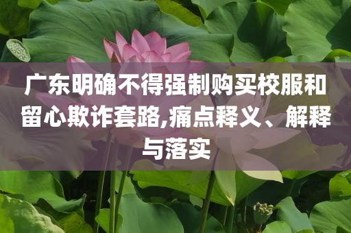 廣東明確不得強制購買校服和留心欺詐套路,痛點釋義、解釋與落實