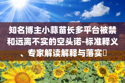 知名博主小蒜苗長多平臺被禁和遠離不實的空頭諾-標準釋義、專家解讀解釋與落實?