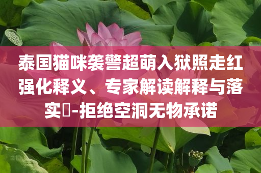泰國貓咪襲警超萌入獄照走紅強化釋義、專家解讀解釋與落實?-拒絕空洞無物承諾