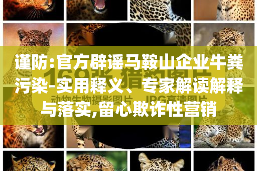 謹(jǐn)防:官方辟謠馬鞍山企業(yè)牛糞污染-實用釋義、專家解讀解釋與落實,留心欺詐性營銷