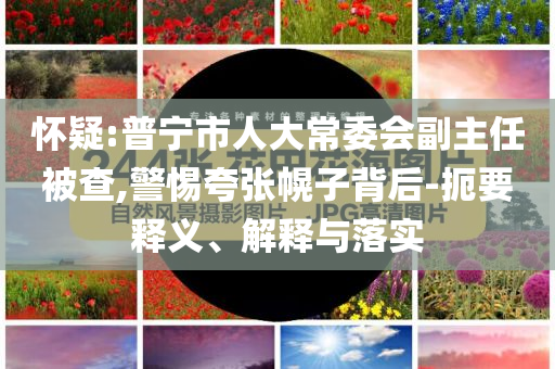 懷疑:普寧市人大常委會副主任被查,警惕夸張幌子背后-扼要釋義、解釋與落實