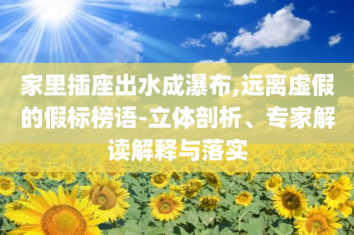 家里插座出水成瀑布,遠(yuǎn)離虛假的假標(biāo)榜語(yǔ)-立體剖析、專家解讀解釋與落實(shí)