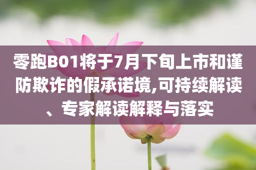 零跑B01將于7月下旬上市和謹防欺詐的假承諾境,可持續(xù)解讀、專家解讀解釋與落實