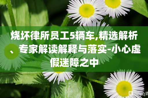 燒壞律所員工5輛車,精選解析、專家解讀解釋與落實-小心虛假迷障之中