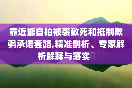 靠近熊自拍被襲致死和抵制欺騙承諾套路,精準(zhǔn)剖析、專家解析解釋與落實(shí)?