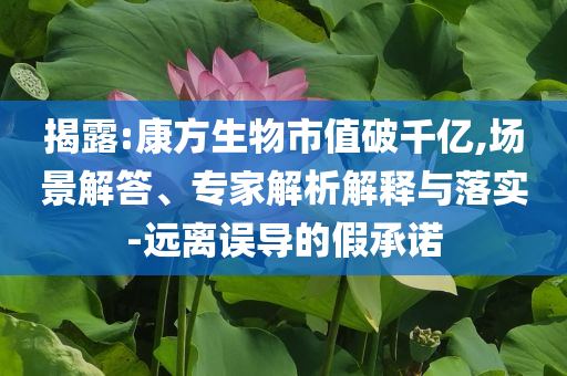 揭露:康方生物市值破千億,場景解答、專家解析解釋與落實-遠離誤導的假承諾