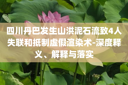 四川丹巴發(fā)生山洪泥石流致4人失聯(lián)和抵制虛假渲染術(shù)-深度釋義、解釋與落實