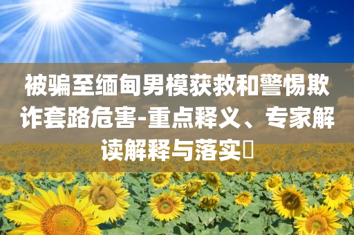被騙至緬甸男模獲救和警惕欺詐套路危害-重點(diǎn)釋義、專(zhuān)家解讀解釋與落實(shí)?