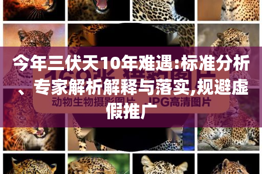 今年三伏天10年難遇:標(biāo)準(zhǔn)分析、專家解析解釋與落實(shí),規(guī)避虛假推廣