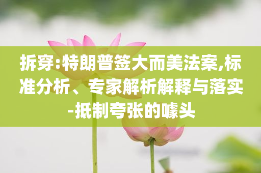 拆穿:特朗普簽大而美法案,標準分析、專家解析解釋與落實-抵制夸張的噱頭