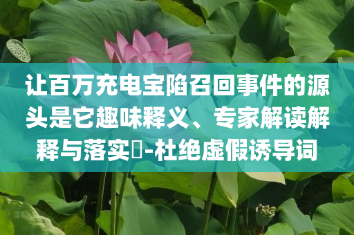 讓百萬(wàn)充電寶陷召回事件的源頭是它趣味釋義、專家解讀解釋與落實(shí)?-杜絕虛假誘導(dǎo)詞