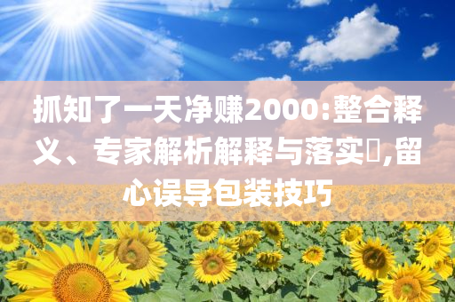 抓知了一天凈賺2000:整合釋義、專(zhuān)家解析解釋與落實(shí)?,留心誤導(dǎo)包裝技巧