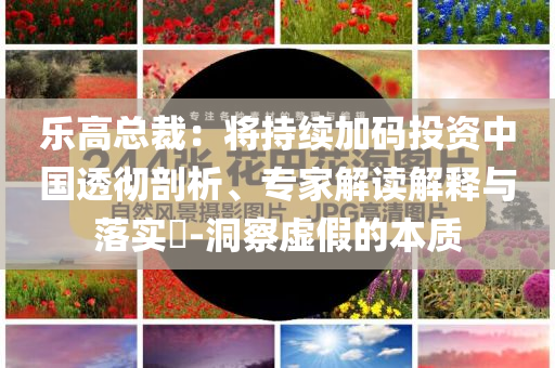 樂高總裁：將持續(xù)加碼投資中國透徹剖析、專家解讀解釋與落實?-洞察虛假的本質(zhì)