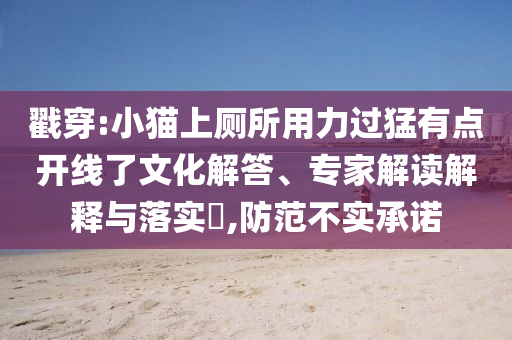 戳穿:小貓上廁所用力過猛有點(diǎn)開線了文化解答、專家解讀解釋與落實(shí)?,防范不實(shí)承諾