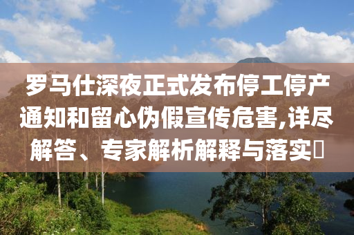 羅馬仕深夜正式發(fā)布停工停產(chǎn)通知和留心偽假宣傳危害,詳盡解答、專家解析解釋與落實(shí)?