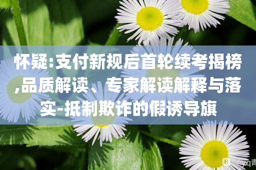 懷疑:支付新規(guī)后首輪續(xù)考揭榜,品質(zhì)解讀、專家解讀解釋與落實-抵制欺詐的假誘導(dǎo)旗