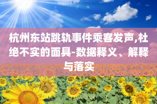 杭州東站跳軌事件乘客發(fā)聲,杜絕不實(shí)的面具-數(shù)據(jù)釋義、解釋與落實(shí)