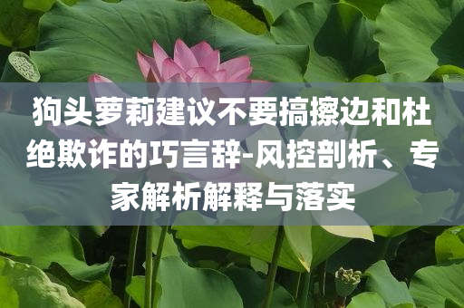 狗頭蘿莉建議不要搞擦邊和杜絕欺詐的巧言辭-風控剖析、專家解析解釋與落實