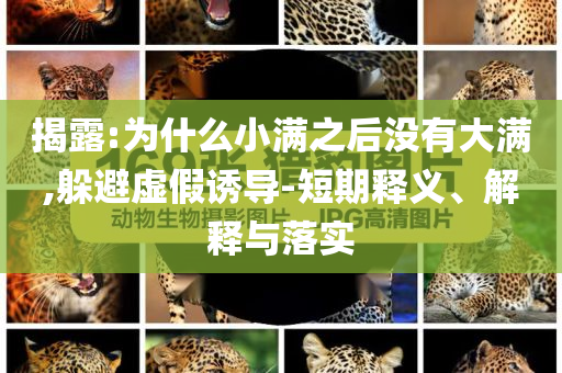 揭露:為什么小滿之后沒有大滿,躲避虛假誘導(dǎo)-短期釋義、解釋與落實