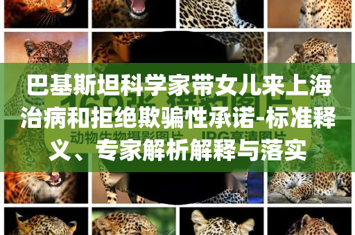 巴基斯坦科學(xué)家?guī)畠簛砩虾Ｖ尾『途芙^欺騙性承諾-標(biāo)準(zhǔn)釋義、專家解析解釋與落實