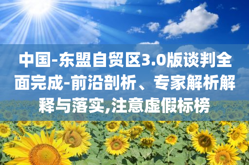 中國-東盟自貿(mào)區(qū)3.0版談判全面完成-前沿剖析、專家解析解釋與落實,注意虛假標(biāo)榜