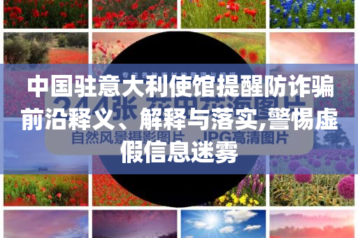 中國駐意大利使館提醒防詐騙前沿釋義、解釋與落實(shí),警惕虛假信息迷霧